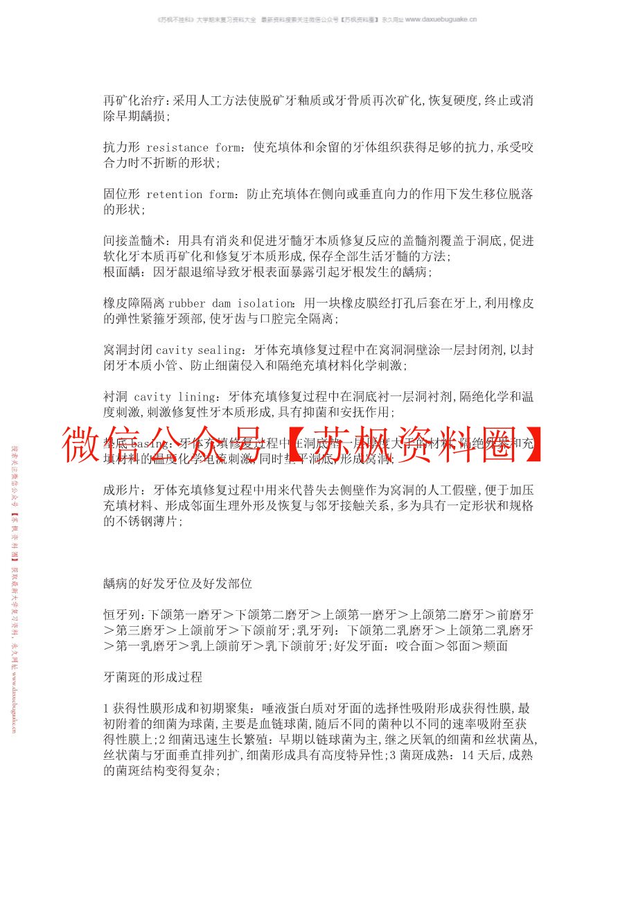 牙体形态学